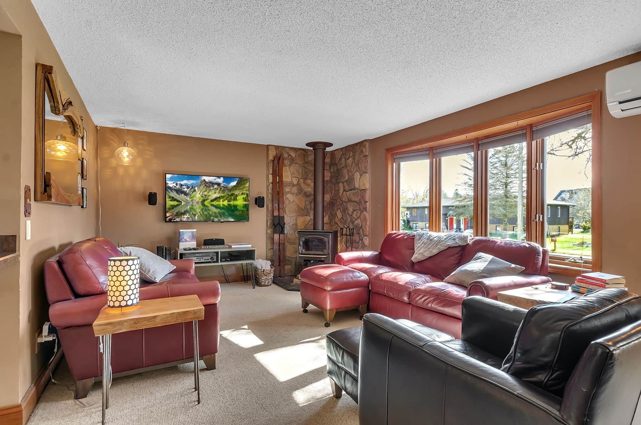 TV, fireplace, DVD player, stereo
