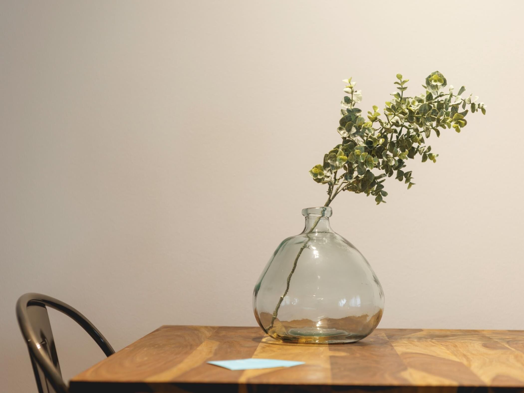 A clear glass vase with a plant on a wooden table against a plain wall.