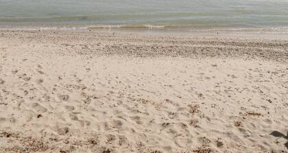 Cozy Lake Michigan Beach Home for 6: kayaks, games, PS5, foosball, volleyball