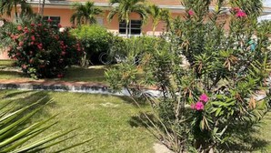 A building with a red roof, surrounded by palm trees and a small pond. - Jasmine-On the Harbour, Minutes from the Beach (Spanish Wells)