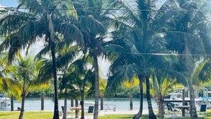 A waterfront park with palm trees and a paved walkway. - Jasmine-On the Harbour, Minutes from the Beach (Spanish Wells)