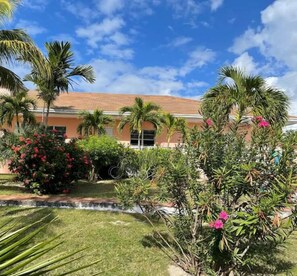 Stroll through the serene garden, surrounded by lush palm trees and vibrant flowering shrubs, and enjoy the soothing sound of a nearby water feature.