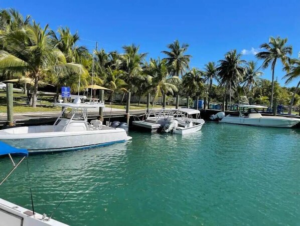 Boats docked in a tranquil marina surrounded by lush palm trees.