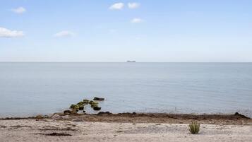 In Strandnähe, Angeln