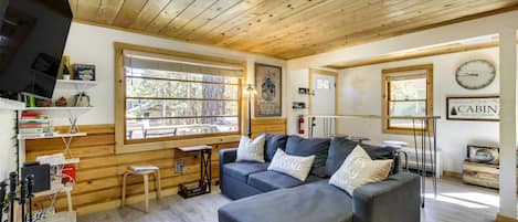 TV, fireplace, books