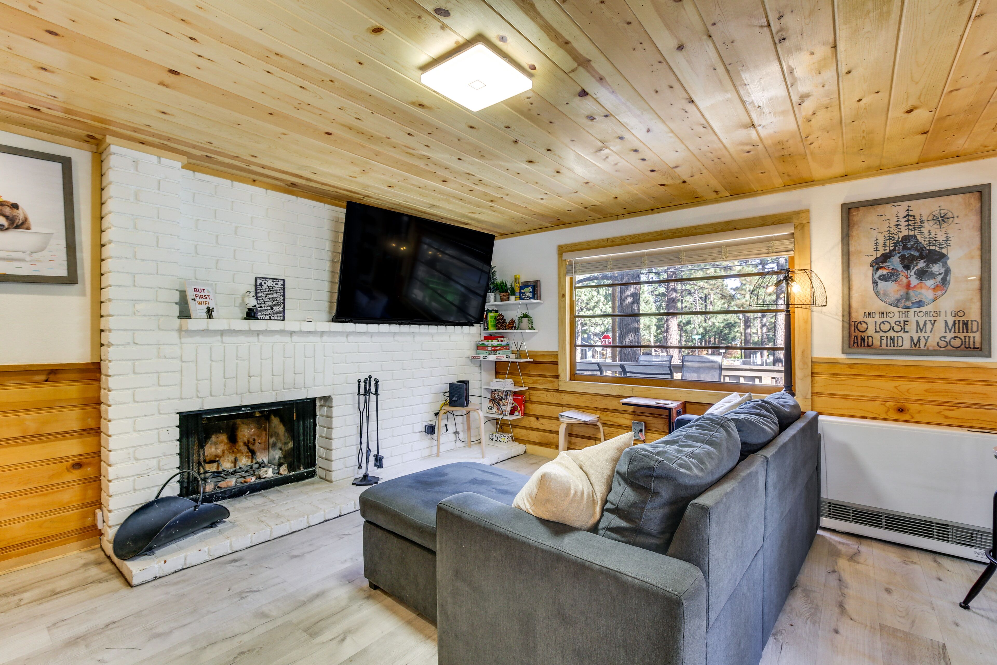 TV, fireplace, books