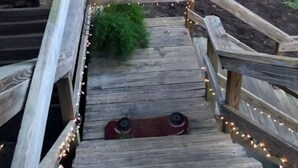 Een houten terras met een bankje en een kat die erop zit.