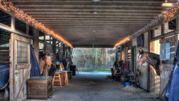 Een stal met paarden, hooibalen en een houten vloer.