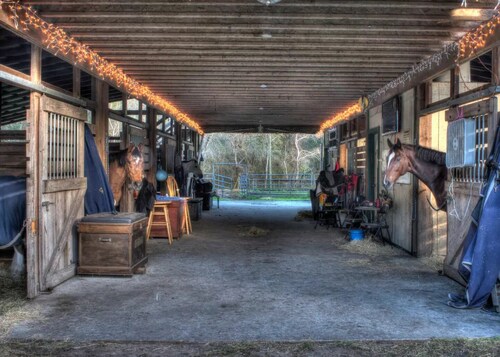 Private Loft at a Working Show Barn ~ Pets Welcome!