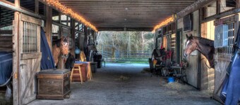 Private Loft at a Working Show Barn ~ Pets Welcome!