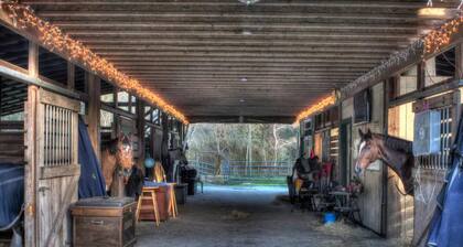Private Loft at a Working Show Barn ~ Pets Welcome!