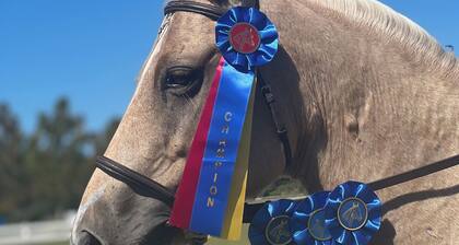 Private Loft at a Working Show Barn ~ Pets Welcome!