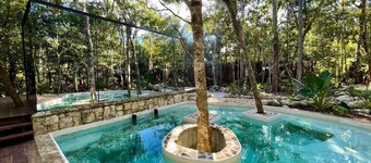 Tinyhome Meets Glamping Mayan Jungle Experience!