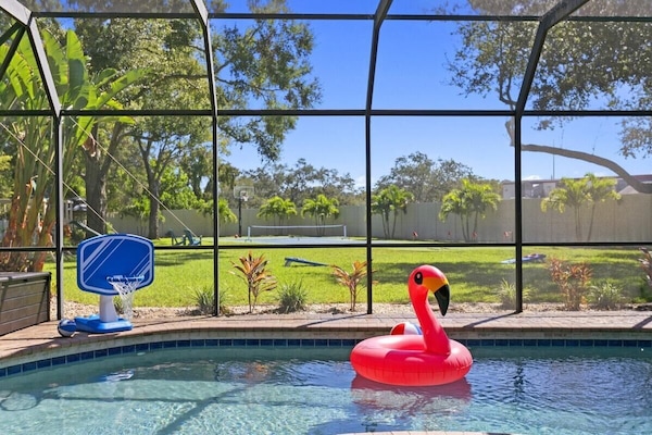 Our Resident Flamingo