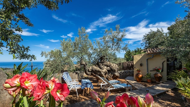 A patio with lounge chairs, a table, and potted plants.