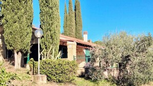 A traditional stone building with a tiled roof, surrounded by tall cypress trees and olive bushes. - Holiday apartment mit Pool (Guardistallo)