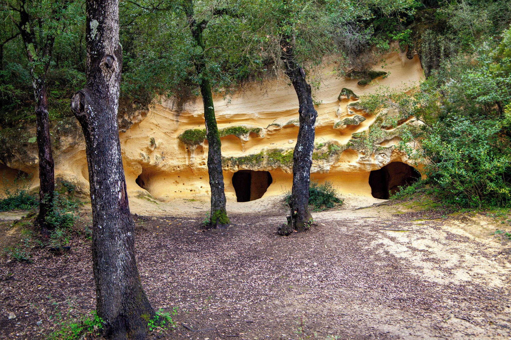 A natural landscape with three tree-like rock formations and a dirt path.