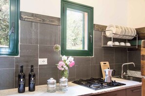 Kjøleskap, kokeplater og kaffetrakter/tekoker