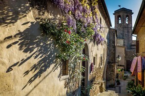 Property grounds - Holiday apartment mit Pool (Guardistallo)