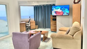 Televisión de pantalla plana, Netflix y servicios de streaming