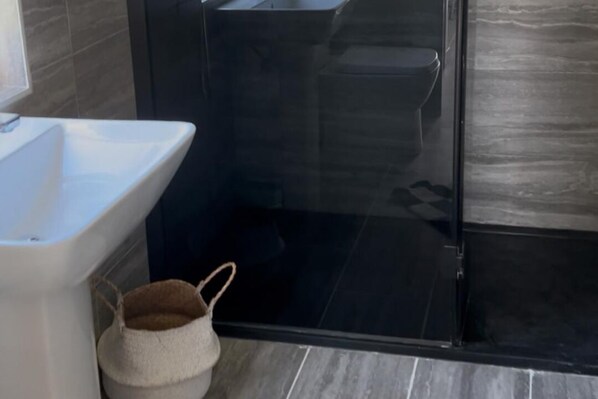 Shower, hair dryer, towels