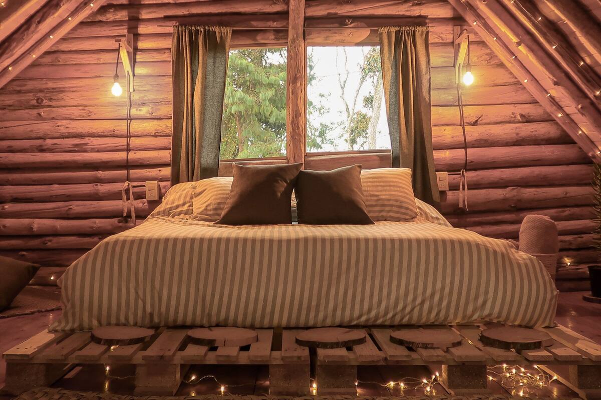 Een knus houten huisje met een slaapkamer, een bed, kussens en uitzicht op bomen door een raam.