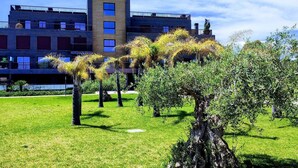 A modern building with a flat roof and a mix of brick and wood facade. - Apartamento Moderno y Confortable con Piscina Comunitaria (Verger)