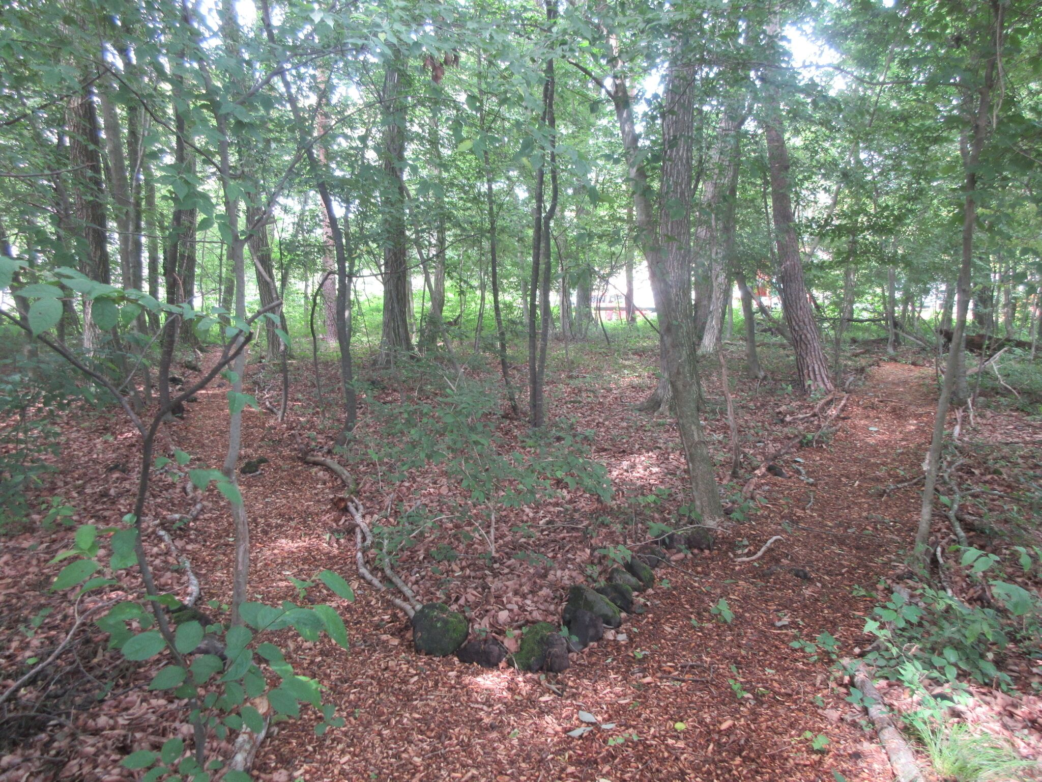 2 bedrooms, desk, free WiFi, bed sheets