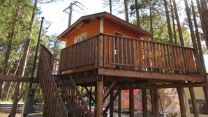 A wooden cabin with a balcony, surrounded by tall trees. - DogrunCafe&Resorts JENNIE West-Karuizawa "Pigu" is perfect for groups and family trips! Pet Friendly Hotels (Miyota, Kitasaku District)