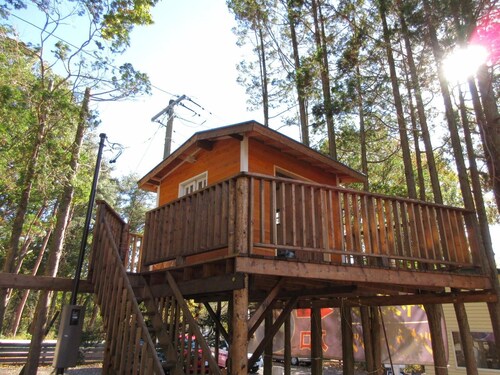 DogrunCafe&Resorts JENNIE West-Karuizawa "Pigu" is perfect for groups and family trips! Pet Friendly Hotels