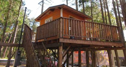 DogrunCafe&Resorts JENNIE West-Karuizawa "Pigu" is perfect for groups and family trips! Pet Friendly Hotels