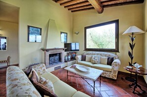 Televisión y chimenea 