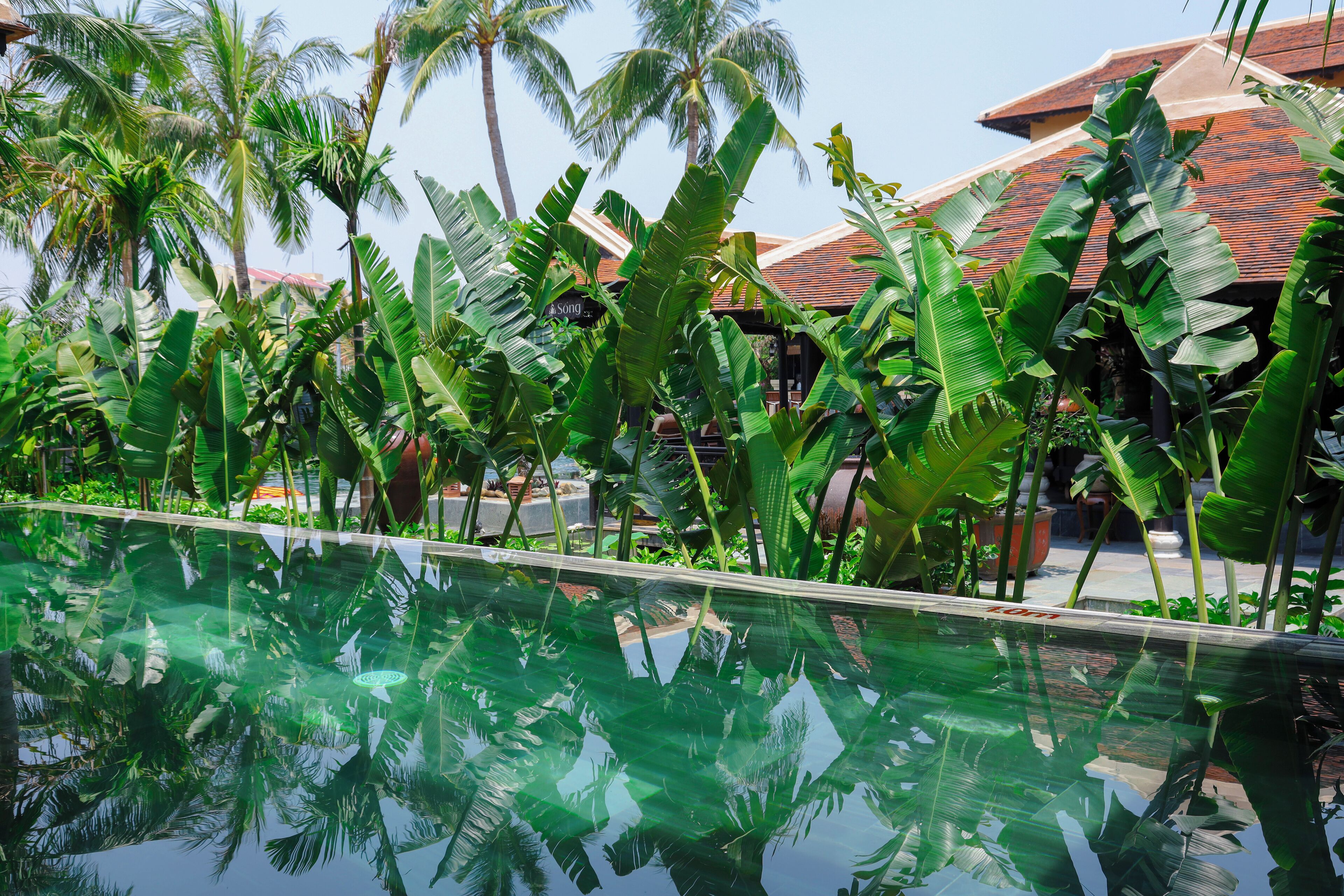 Three bedroom pool villa | Piscine privée