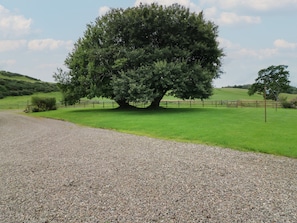 A large tree in a grassy field with a gravel path leading to it. - Whitehouse Woodwrae (Forfar)