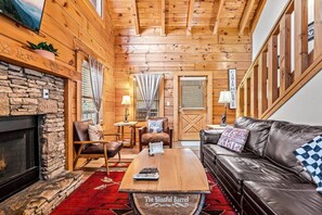 TV, fireplace, books