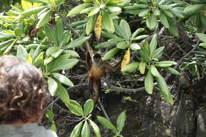 المنطقة المحيطة بالمنشأة