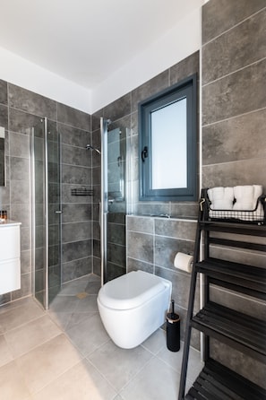 Hair dryer, towels, soap, shampoo