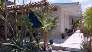 A residential area with a house, a pergola, and various potted plants.