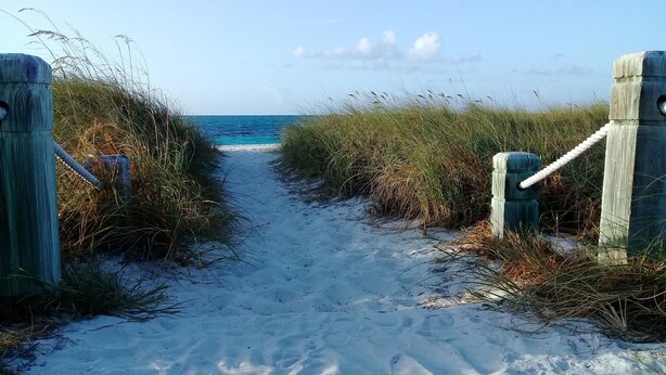A sandy pathway leading to the ocean, flanked by wooden posts and tall grasses.