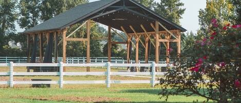 Àrea exterior de l'allotjament