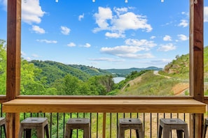 Property grounds - Outdoor Theater, HotTub, Pool, Pickleball, Slps 24 (Kimberling City)