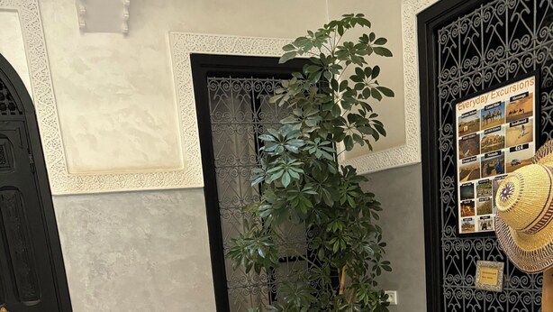 A room with two white armchairs, a glass coffee table with a decorative item, a large potted plant, and a wall-mounted photo board. - Riad étoile ocre  (Marrakech)