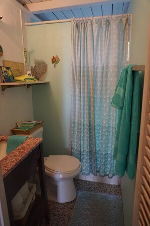 Shower, hair dryer, towels, soap - St. Croix HOUSE Ocean View, Pool!! (Christiansted)