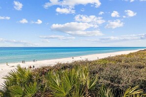 Una spiaggia nelle vicinanze