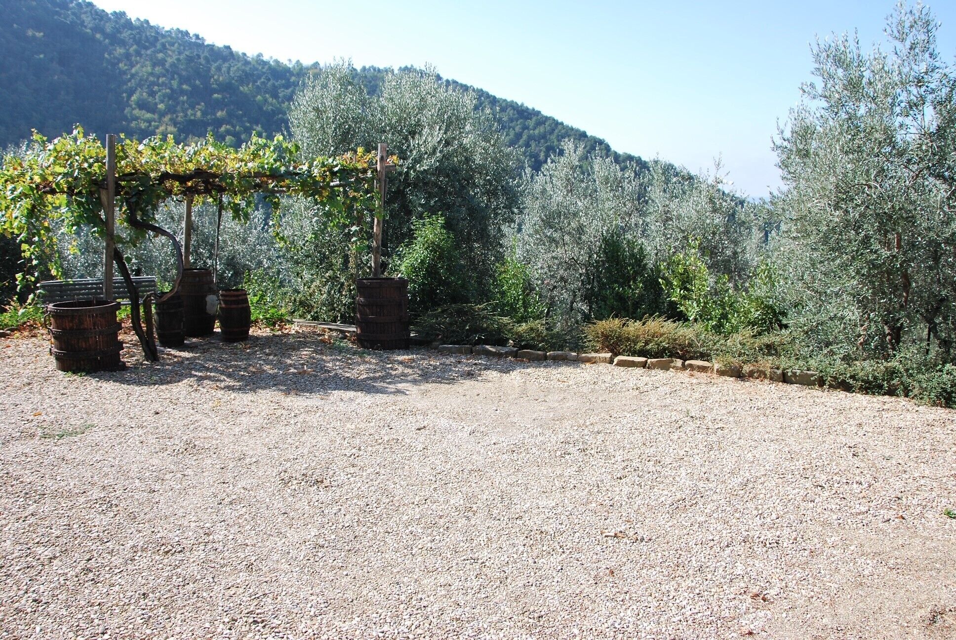 Ein Kiesplatz mit einer Pergola und Fässern, umgeben von Olivenbäumen und einer Hügelterrasse.