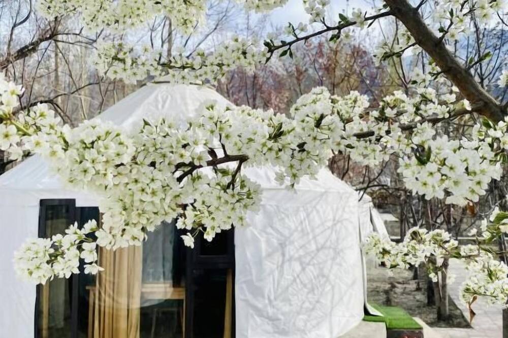 APEX Le Yurt Skardu