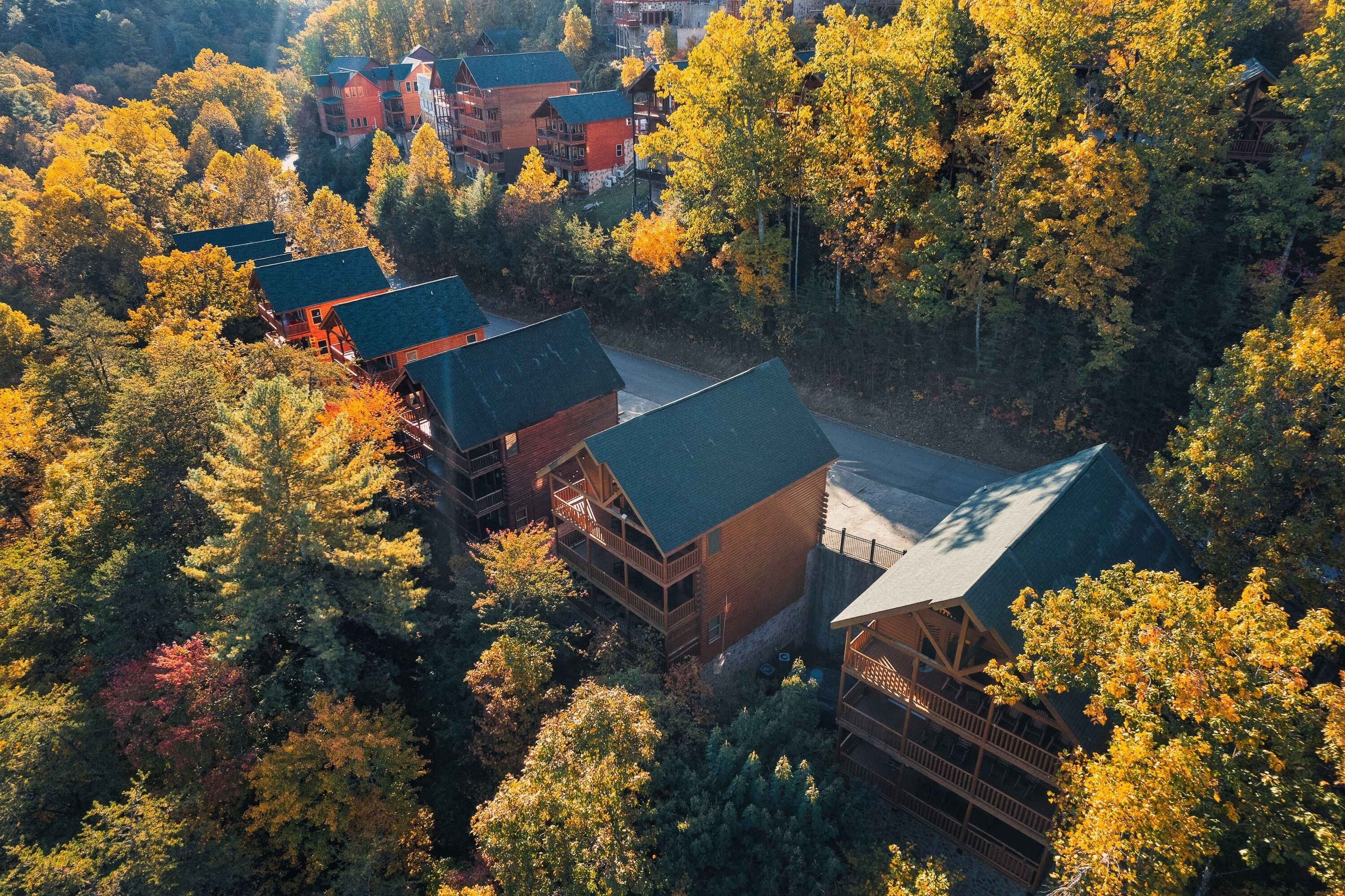 A lodge with multiple buildings surrounded by dense forest.