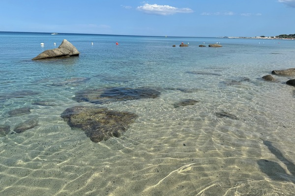 Playa en los alrededores y toallas de playa
