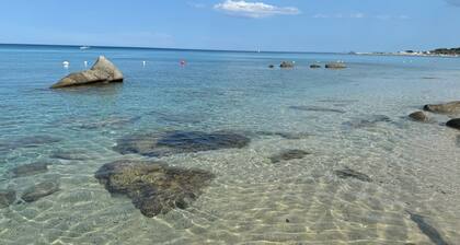 Galliano 51. Holiday in Style – City Center