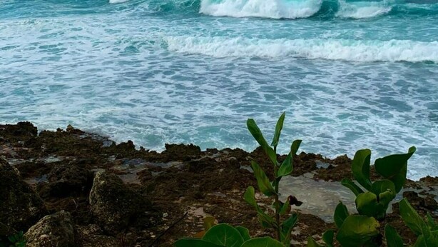 A coastal scene with waves crashing onto rocky shorelines and a cloudy sky.